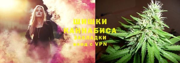 прущие грибы Рославль