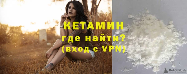 прущие грибы Рославль