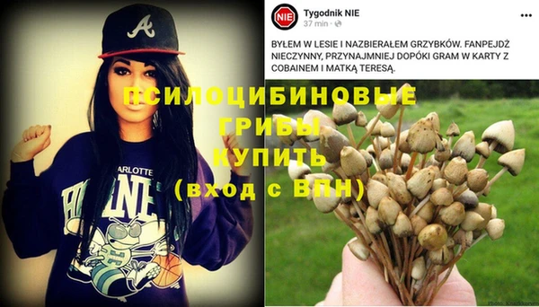 стафф Россошь