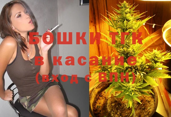 ПСИЛОЦИБИНОВЫЕ ГРИБЫ Абаза