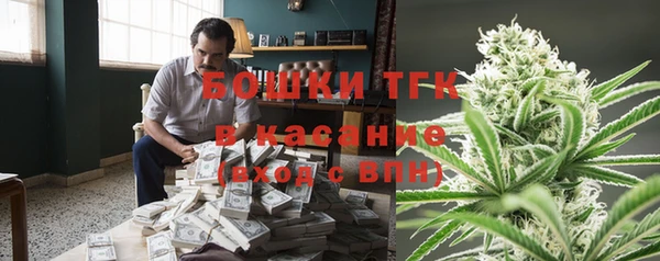 молекула духа Абинск