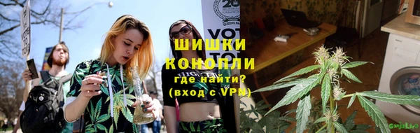 прущие грибы Рославль