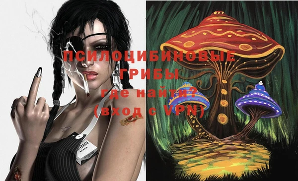 стафф Россошь