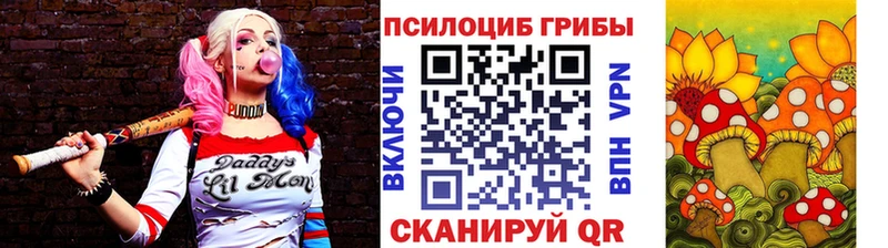 Галлюциногенные грибы Cubensis  Котовск 
