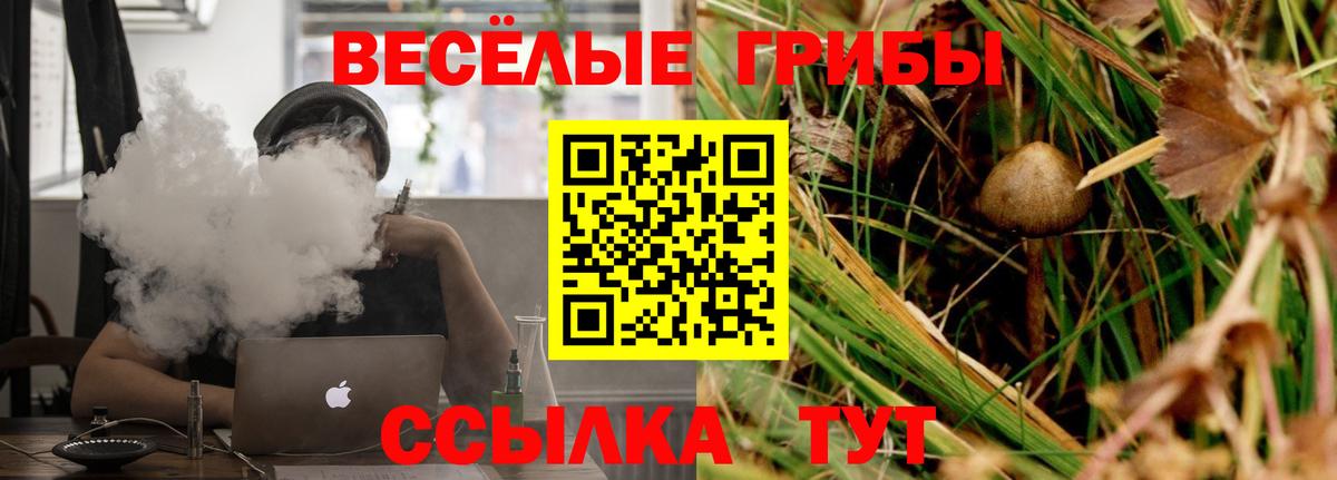 Галлюциногенные грибы MAGIC MUSHROOMS  Галлюциногенные грибы ЛСД  Котовск  Вход с VPN 